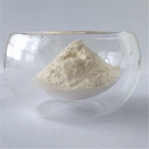 Quality 10:1 wholesale garcinia cambogia in bulk wholesale