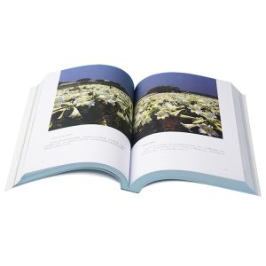 Novels Soft Cover Book Printing 8.5x11inch Matt Nature Paper For Reading