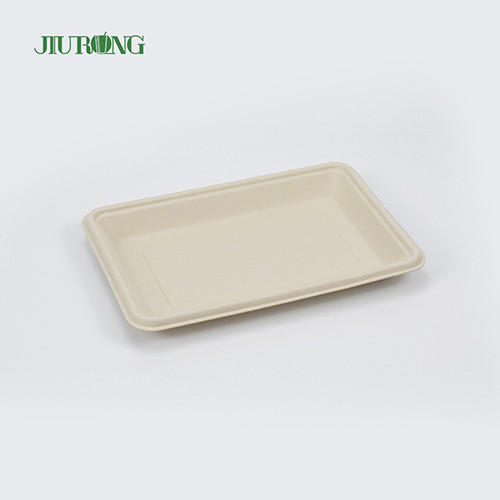 Quality Square Disposable biodegradable sugarcane plates 160mm for Hamburger Bread wholesale