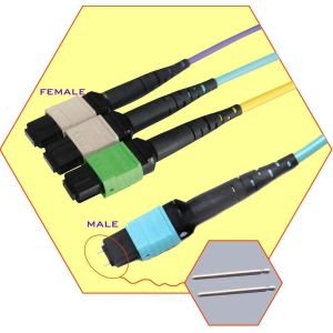 High Density MTP MPO Cable Trunk Cable Patch Cord Singlemode Or Multimode
