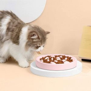 Trendy Slow Feed Pet Bowls - Aligning with Current Market Demands