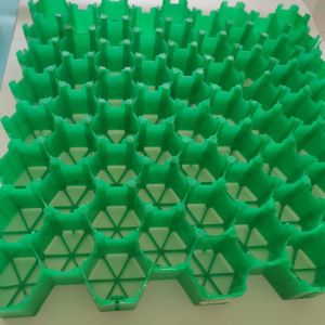 Modern Design CE/ISO9001/ISO14001 Plastic Grass Paver Grids for Driveway Parking