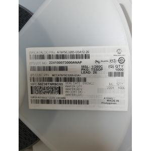 AT97SC3205-U3A12-20 Microchip Security ICs Authentication ICs TPM SPI C8 RevF