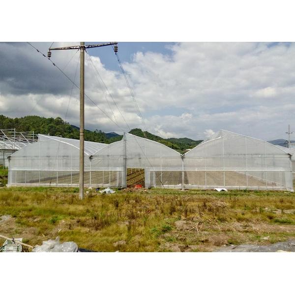 Quality Rustproof Galvanized Greenhouse With Anti-Hail Plastic Film For Harsh Climates wholesale