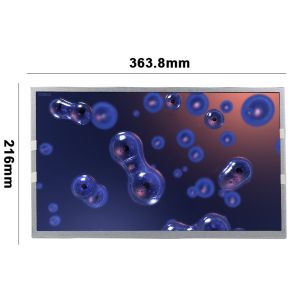 EV156FHM-N10 15.6" LCD Panel RGB 1920×1080 Industrial LCD Screen Display
