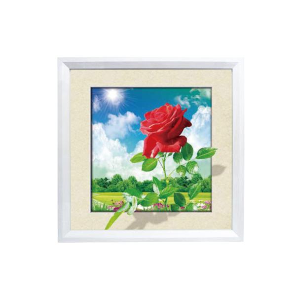 Quality CMYK Printing 5D Effect Lenticular Movie Poster / Pictures With White MDP Frame wholesale