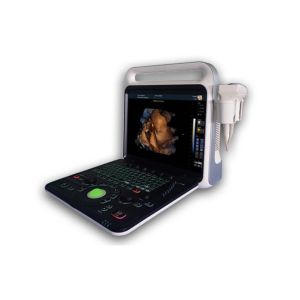 4d Ultrasound Machine Portable Ultrasound Scanner With 3D And Phased Array Probe Optional