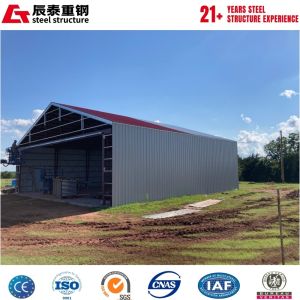 Large span space galvanized H-shaped steel structure aircraft hangar building