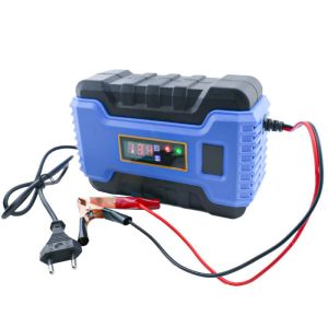 Private Mold 12V 6A Automatic Intelligent Pulse Repair Battery Charger with CE