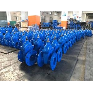 Normal Temperature Media DIN 3352 F4 Ductile Iron Gate Valve with Soft Seal and