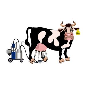 Automatic Mini Mobile 25L Portable Cow Milking Machine Single Piston Type