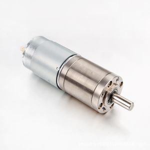 Faradyi Customized 12v 24v Low Noise Small High Torque Dc Planetary Gear Motor