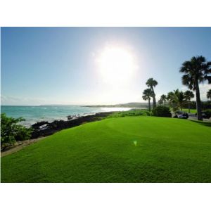 Ornaments Type And PE Material Landscaping Grasses Artificial Turf For Garden