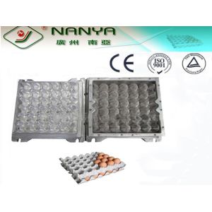 PC Plastic / Aluminum Egg Tray Mould with CAD computerized sysytem