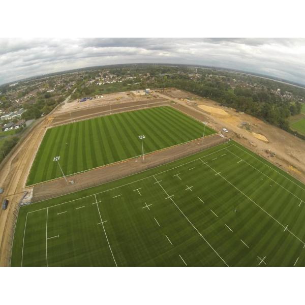 Quality SGS Approved Plastic 9000 Dtex Artificial Turf Grass Eco-Friendly wholesale