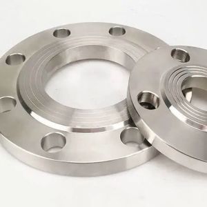 Corrosion Resistant Flat Welding Flange Hastelloy C22 Flange For Nuclear Waste Disposal