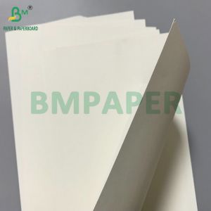 185gsm 210gsm White Kraft PE Coated Cup Paper For Making Paper Drink Cups