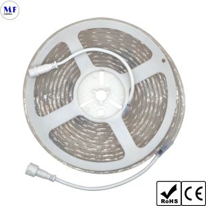 LED 5050 Strip Light RGB RGBW IP20 IP65 IP68 7.2W-28.8W With CCT Dimming For