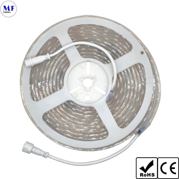 LED 5050 Strip Light RGB RGBW IP20 IP65 IP68 7.2W-28.8W With CCT Dimming For