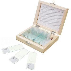 Medical Teaching Research Algae Botany 10pcs Pre Prepared Microscope Slides