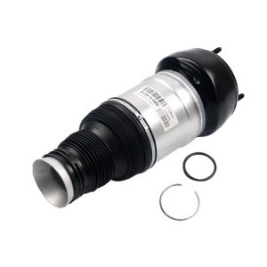 China Front Left Air Srtut Air Suspension Spring For Mercedes W166 M - Class A1663206766 on sale