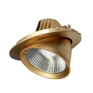 Gimbal LED Scoop Downlight