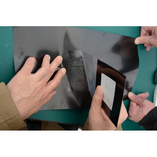 C177 Black Palm print hinge lifter