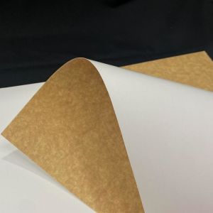 Bulk Order Compostable Coated Kraft Paper French Fry Cones With Factory Pricing