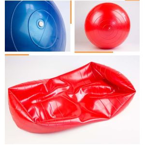 55cm Multi Function Yoga Stability Ball PVC Non Slip Home Use