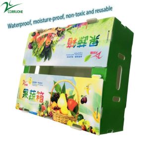 China Hot Selling PP Foldable Water-proof Corrugated Plastic Box For Agriculture Packing Box on sale