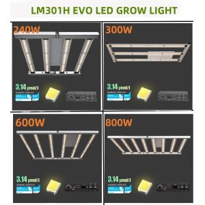 BAVAGREEN 240W Samsung LM301H EVO Mint White LED Pflanzenlampe IR UV Full