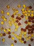 6 and 7 inch Softgel Encapsulation Making Machine With Servo Motor 50000 - 70000
