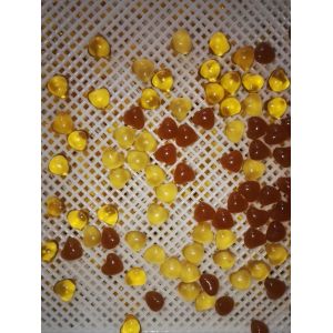 7 Inch Softgel Encapsulation Machine with 103*172mm Roller Die 12 Plungers and