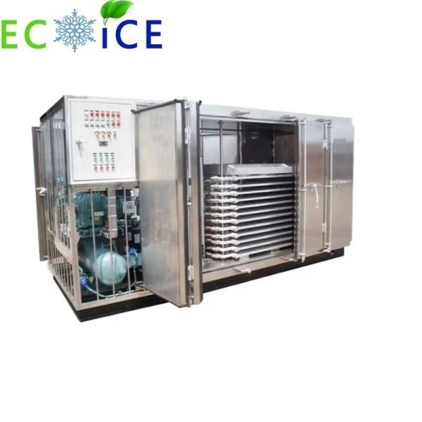 Precision Freezing Technology for Seafood Testing Samples and Quality Control