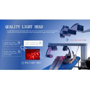 LuxMaster Laser Therapy Machine Lllt Red Cold Laser Machine For Pain