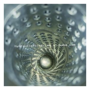 Condition BAMA R902601381 10 Micron Hydraulic Filter with Video technical