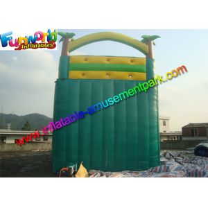 Customized Waterproof Outdoor Inflatable Water Slides With Pool in Green Blue
