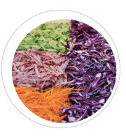 Quality 50HZ Rated Frequency Fruit Processing Equipment with 110/140/170mm Through Width Digital Display Vegetable Sliver wholesale