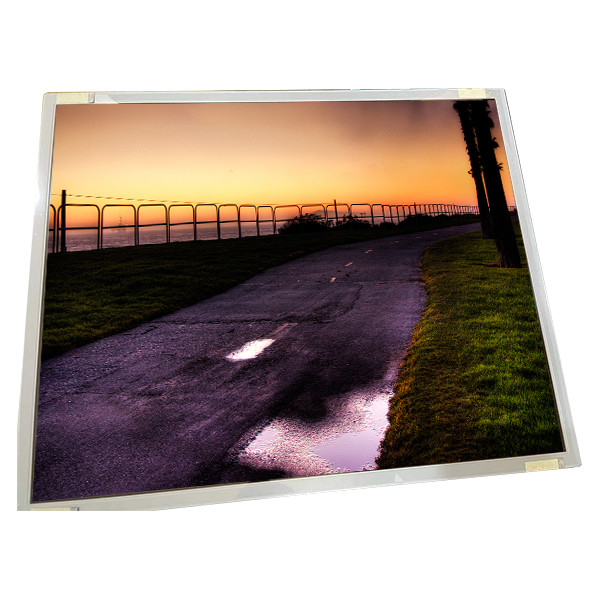 Quality LQ190E1LX75T 19.0 Inch 1280*1024 LVDS LCD For Industrial wholesale