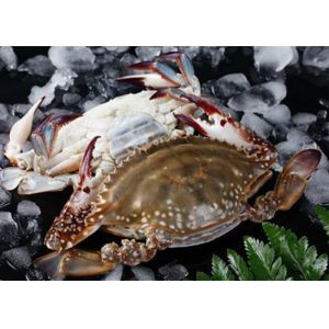 Cheap Half Cutted Portunus Crab for sale
