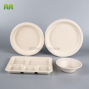 Eco-friendly Retail Shrinking Package Sugarcane Round Plates Biodegradable