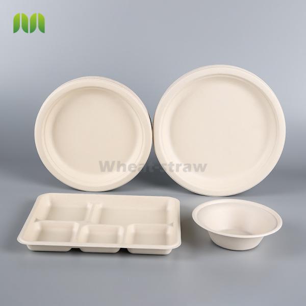 Eco-friendly Retail Shrinking Package Sugarcane Round Plates Biodegradable