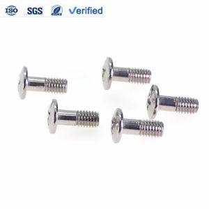 Custom Stainless Steel Phillips Head Screws DIN/ANSI Grade 4.8-12.9