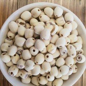 CCD Intelligent Nut Pistachio Walnut Color Sorter 10 Chutes