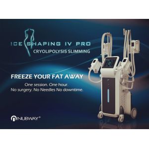China Cool sculpting Slimming 4 Cryo Handles Work Together Fat Freezing Cryolipolysis Machine on sale