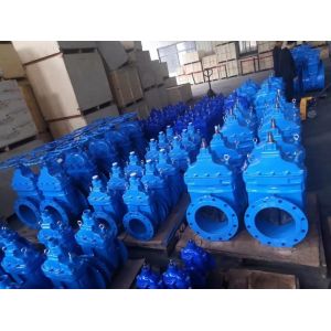 Manual Control 6 inch SS Lug Wafer Type Knife Gate Valve for Water in High