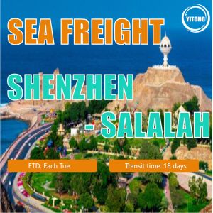 China Sea Freight Customer Service From Shenzhen To Salalah Oman on sale