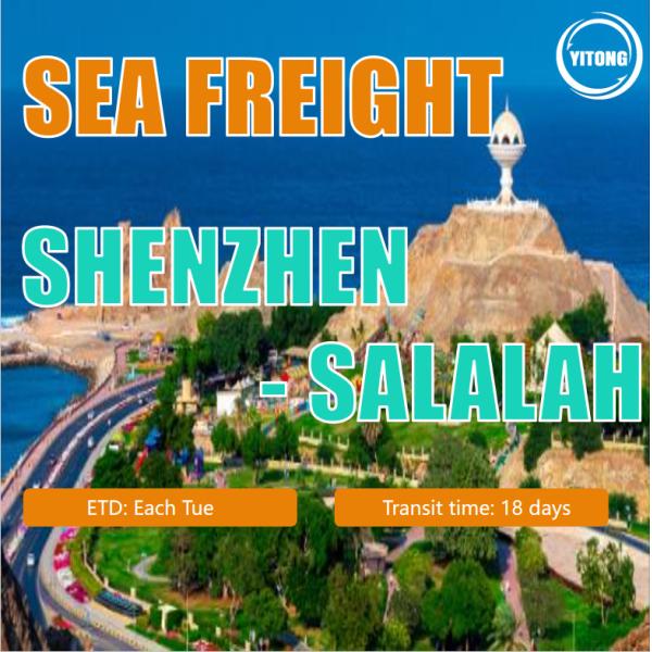 Quality Sea Freight Customer Service From Shenzhen To Salalah Oman wholesale