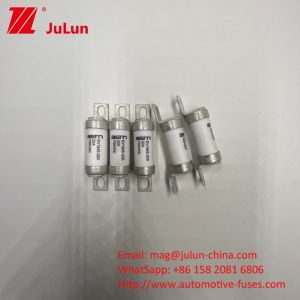 10A 700VDC EV1845 10kA Rated Medium Bolt Type EV Fuse with Screw Mounting