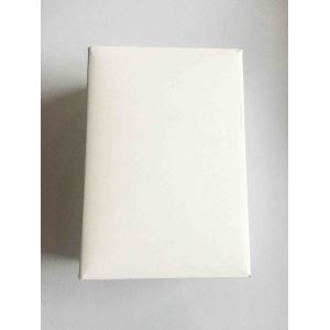 Indoor Cable Distribution Box 10 Pair Telephone Module Surface Mounting Type